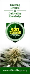 Cannabis university courses online